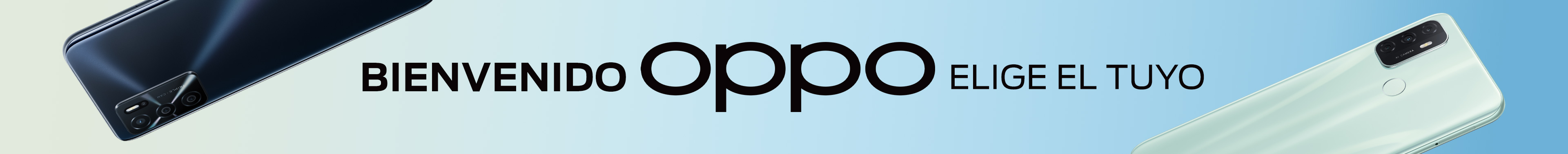 Banner d