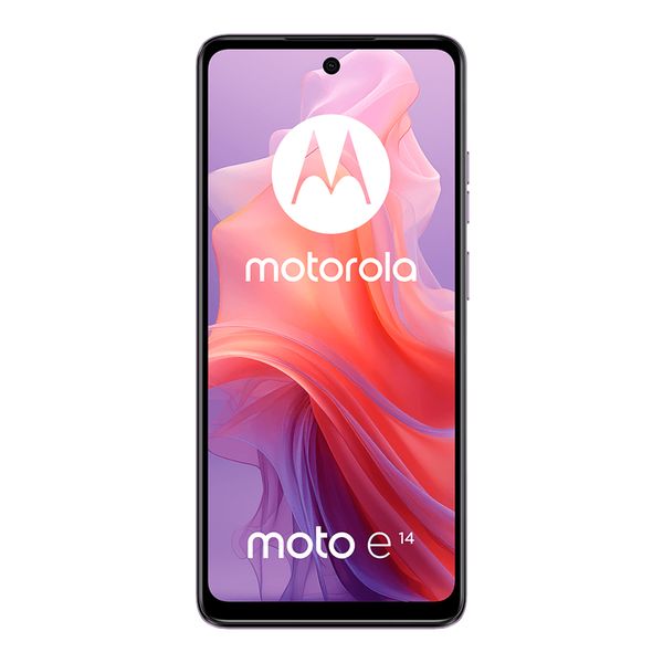 TMOTMOTOE14LILA_02.jpg